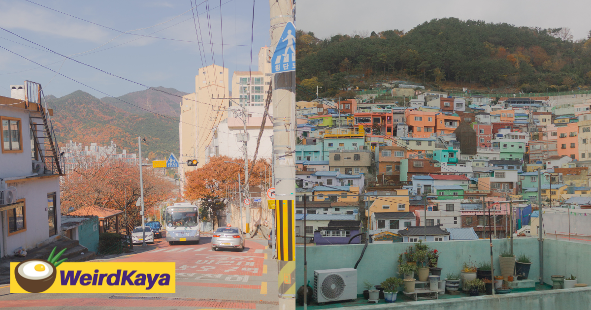 Visit busan pass launches in february for travellers visiting korea to save more! | weirdkaya