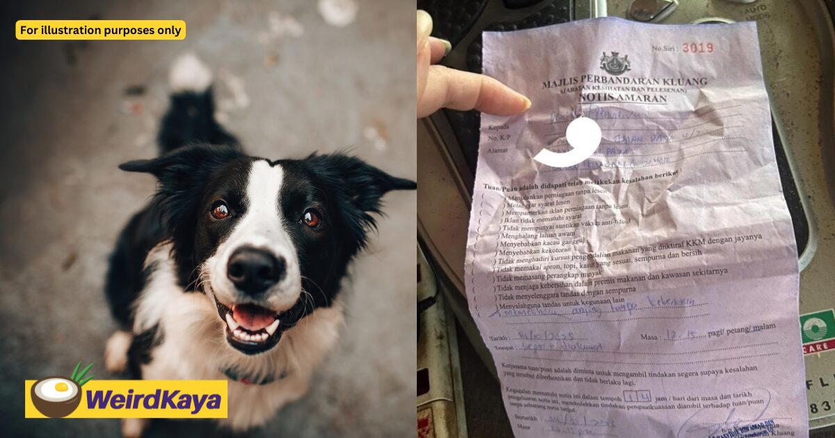 M'sian Woman Gets Warning Letter From Kluang Municipal Council For Having A Dog Without Neighbours' Permission