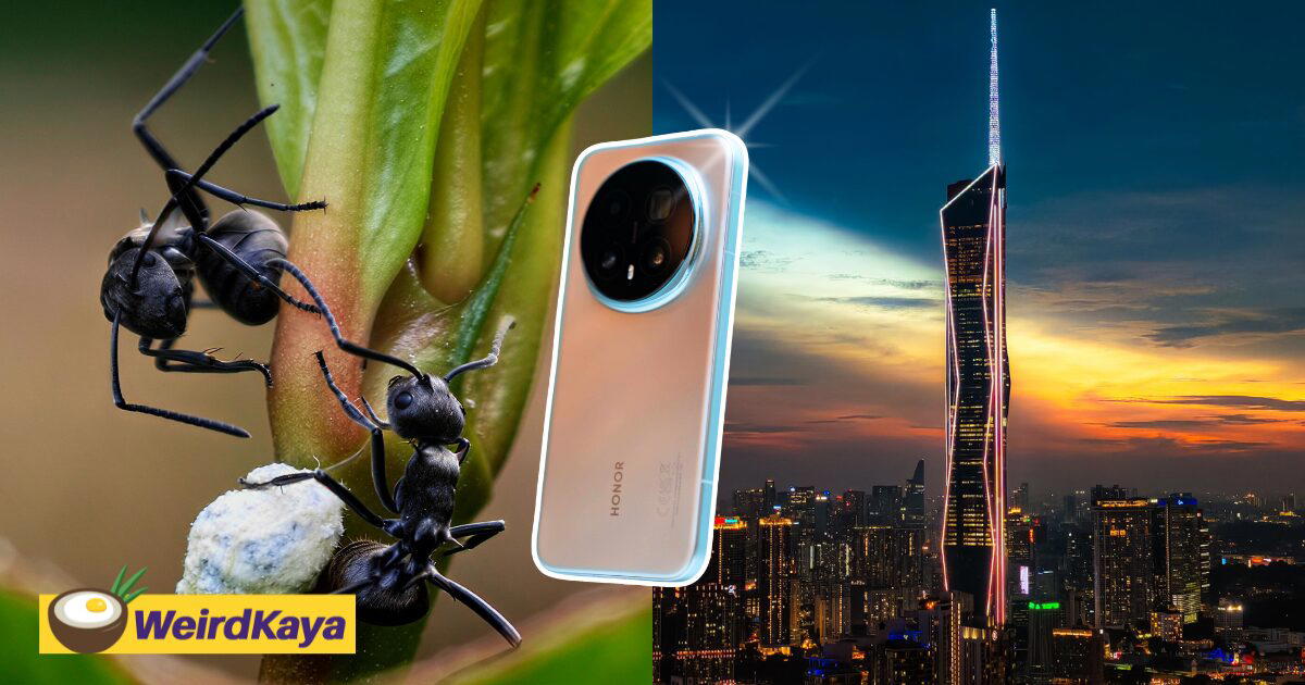 We Tried The Magic8 Pro Telephoto Camera & The Results Left Us Speechless