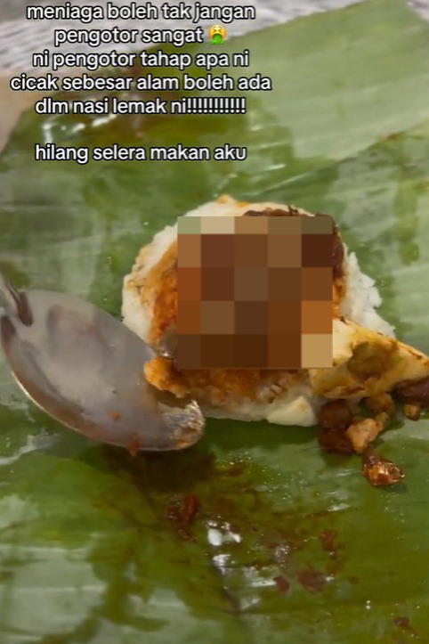 M'sian woman left disgusted to find dead lizard inside nasi lemak