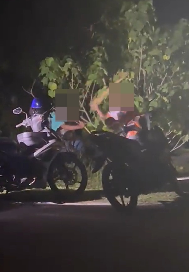 Injured dog beaten to death by 2 men in penang after it got hit by a motorcycle