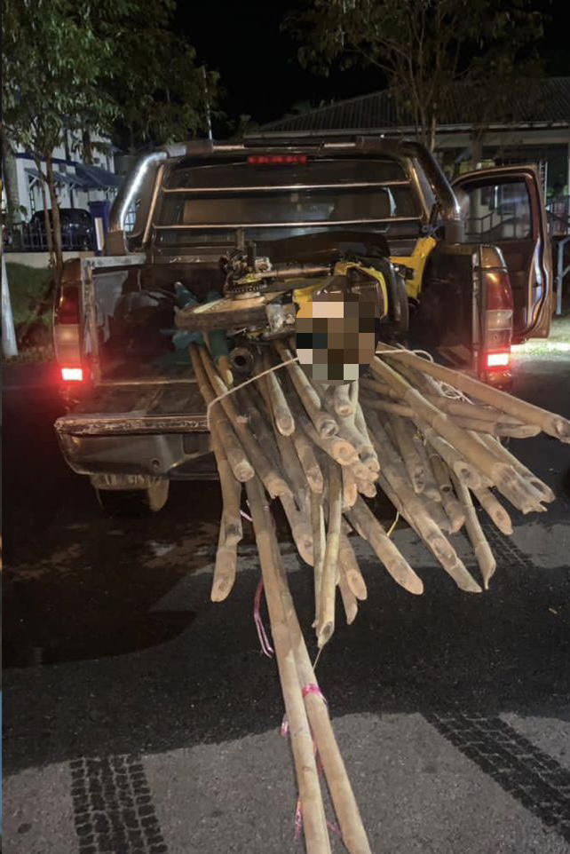 2 metre bamboo at the back of a car