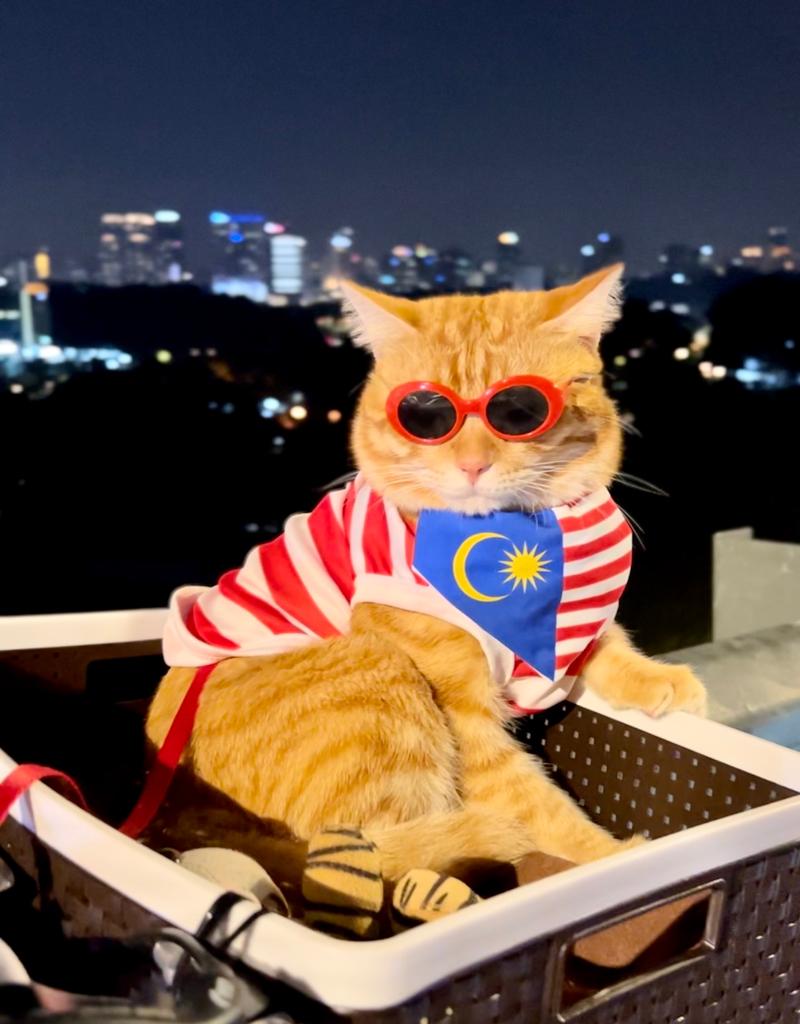 Malaysian cat owner decks up pets in Eid costumes as rising