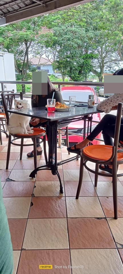 M'sian woman brings dog to mamak stall, draws criticism from netizens