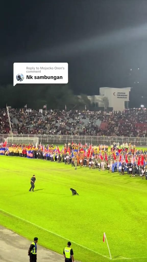 Netizens tickled by pdrm k-9 dog stealing the show during merdeka celebrations in kelantan  | weirdkaya