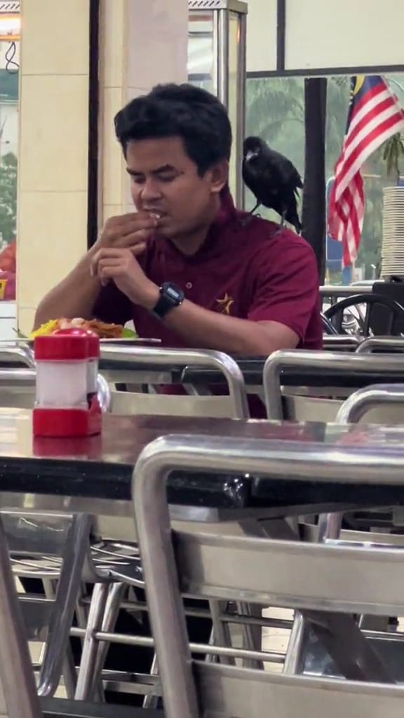 Msian man biting small pieces of the food to feed the crow