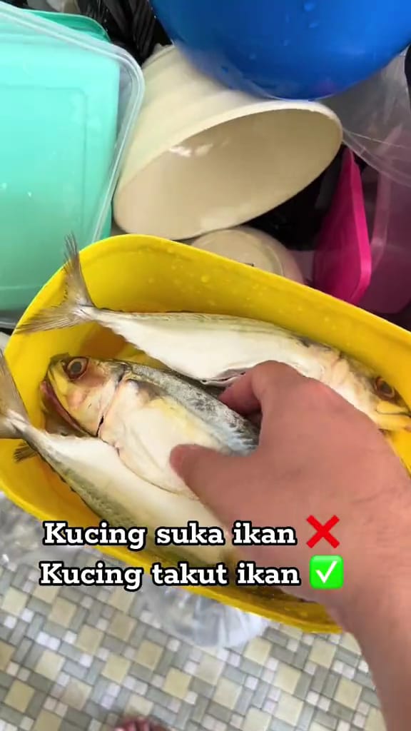 Man taking out fish from a container