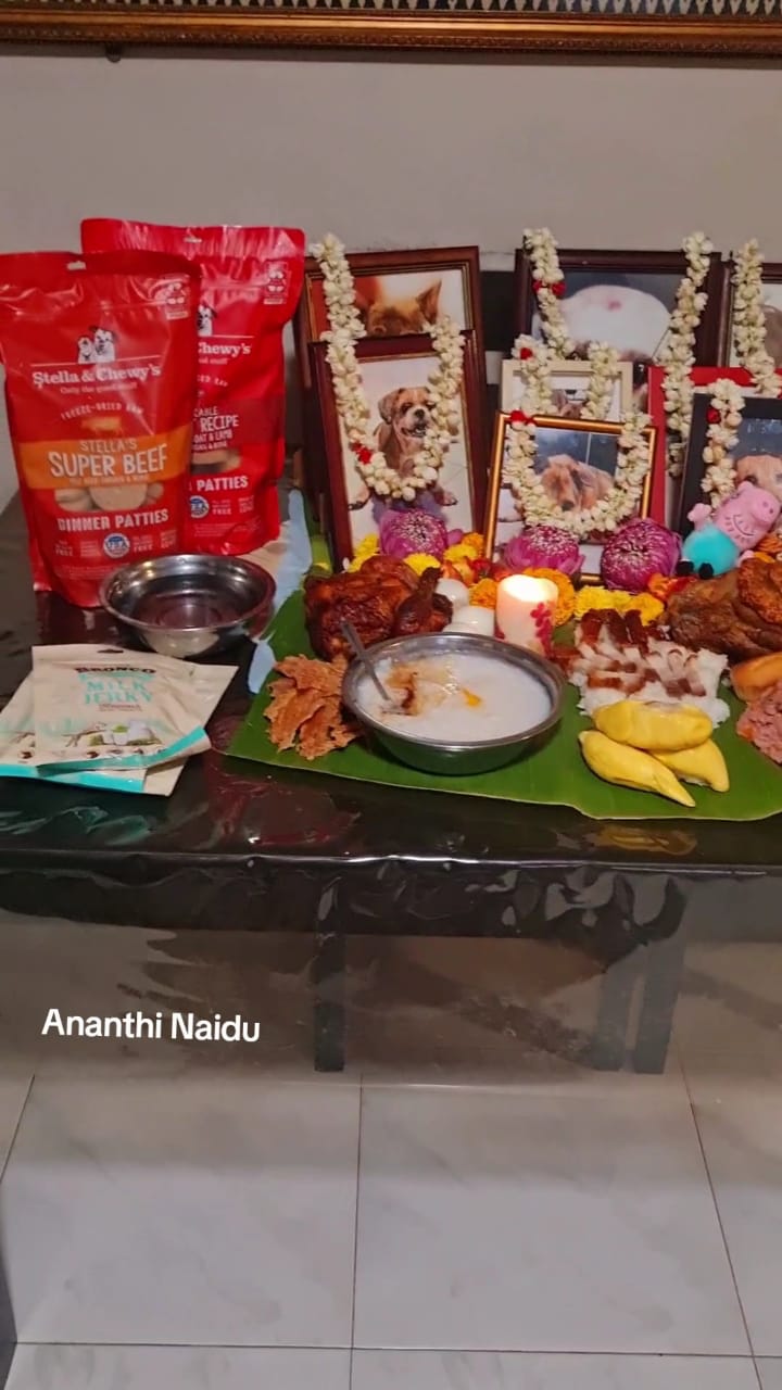 Ananthi honoring her deceased dogs by setting up special altar.