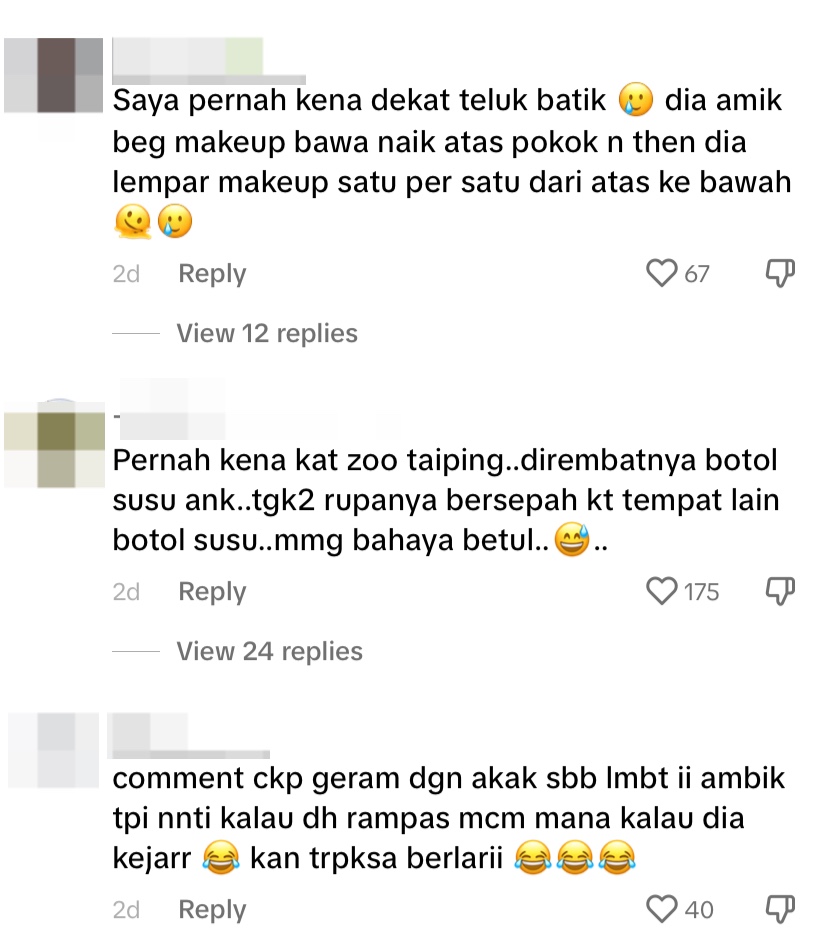 Monkey steals m'sian woman's bag & drinks milk straight from baby bottle comment 1