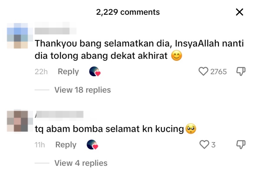 Abang bomba saves cat from drowning under penang bridge captures hearts comment 2