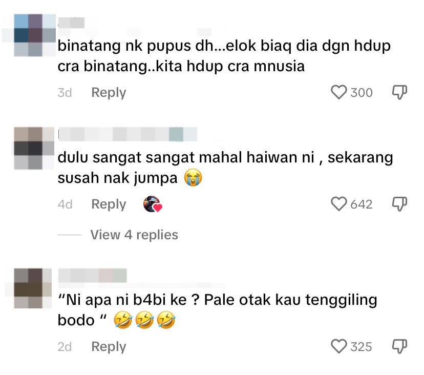 Netizen comment