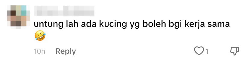 Netizen comment