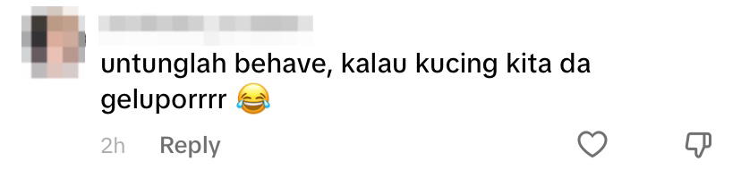 Netizen comment