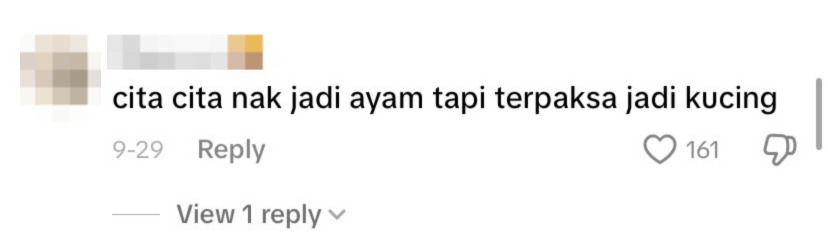 Netizen comment