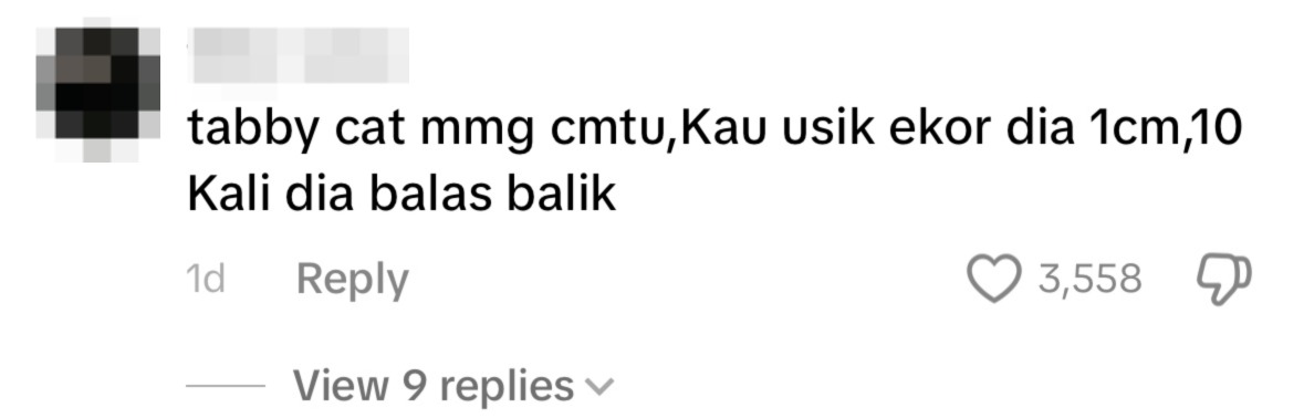 Netizen comment