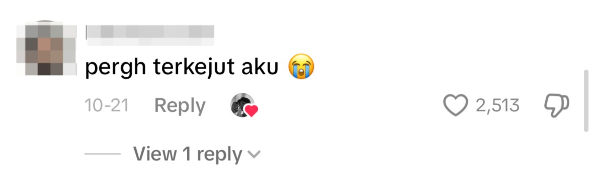 Netizen comment