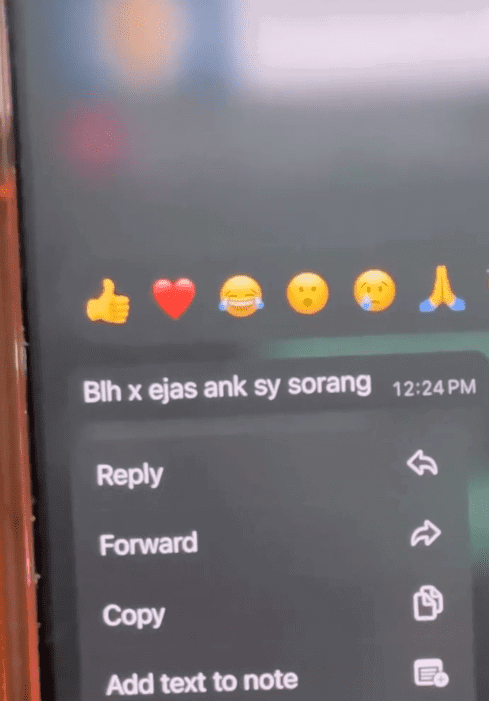 whatsapp screenshot