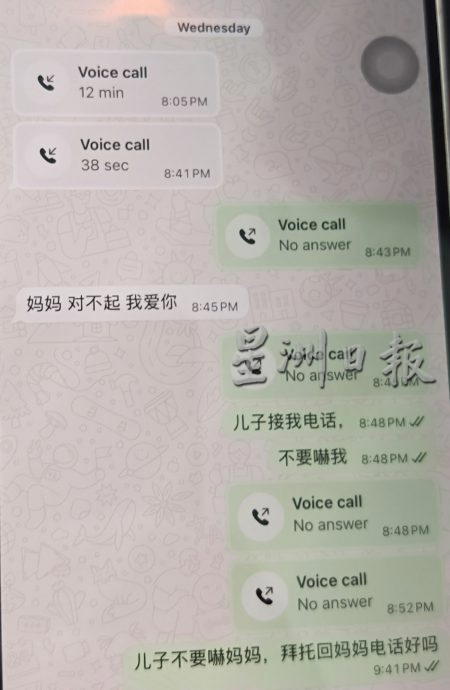 whatsapp screenshot