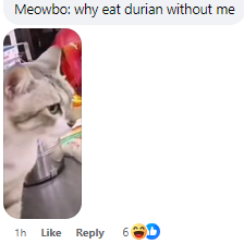 Why eat durian without me