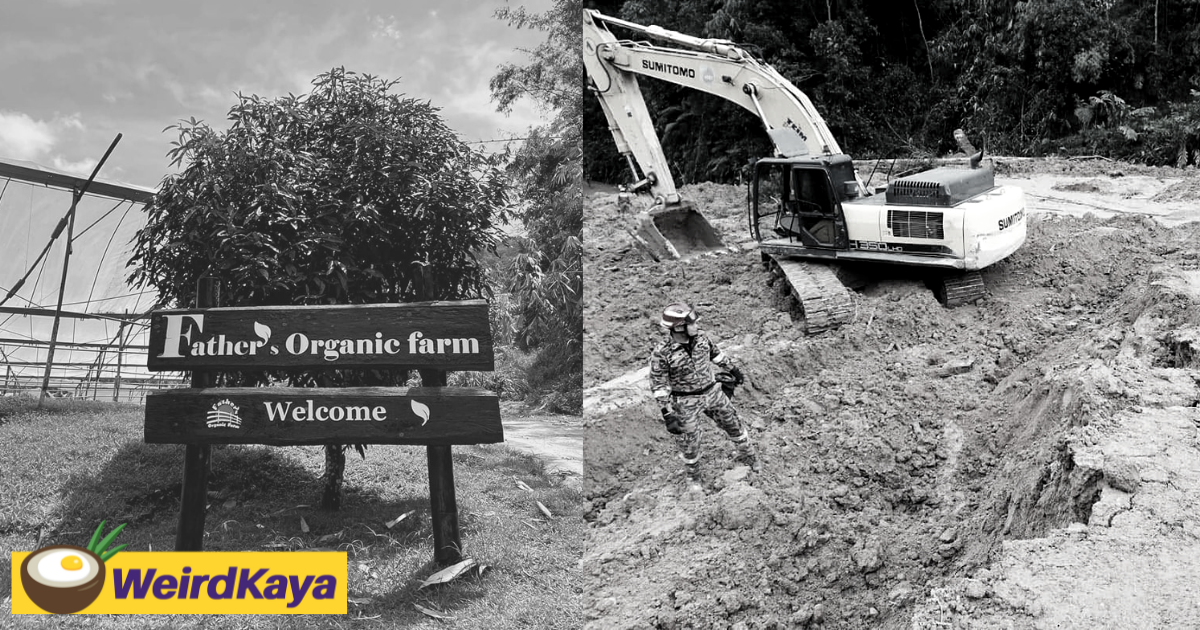 Wife of farmer’s organic farm pic among victims killed in batang kali landslide  | weirdkaya