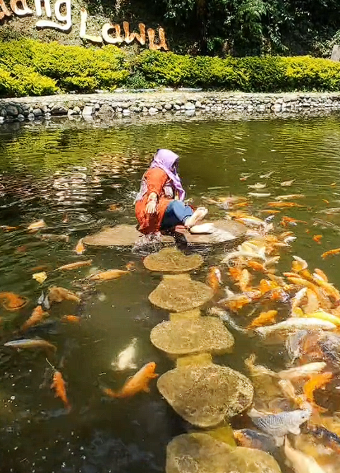 Woman fall into carp pond (3)