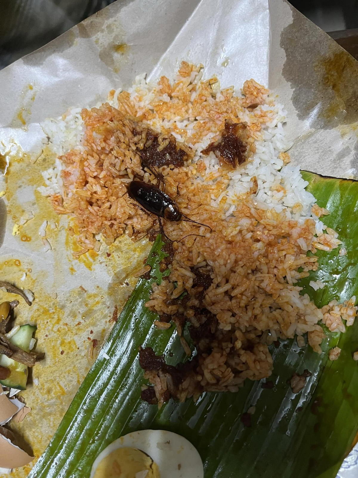 Woman finds giant roach inside nasi lemak