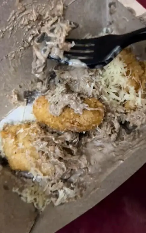 Woman scoops up lizard from pisang goreng tiramisu