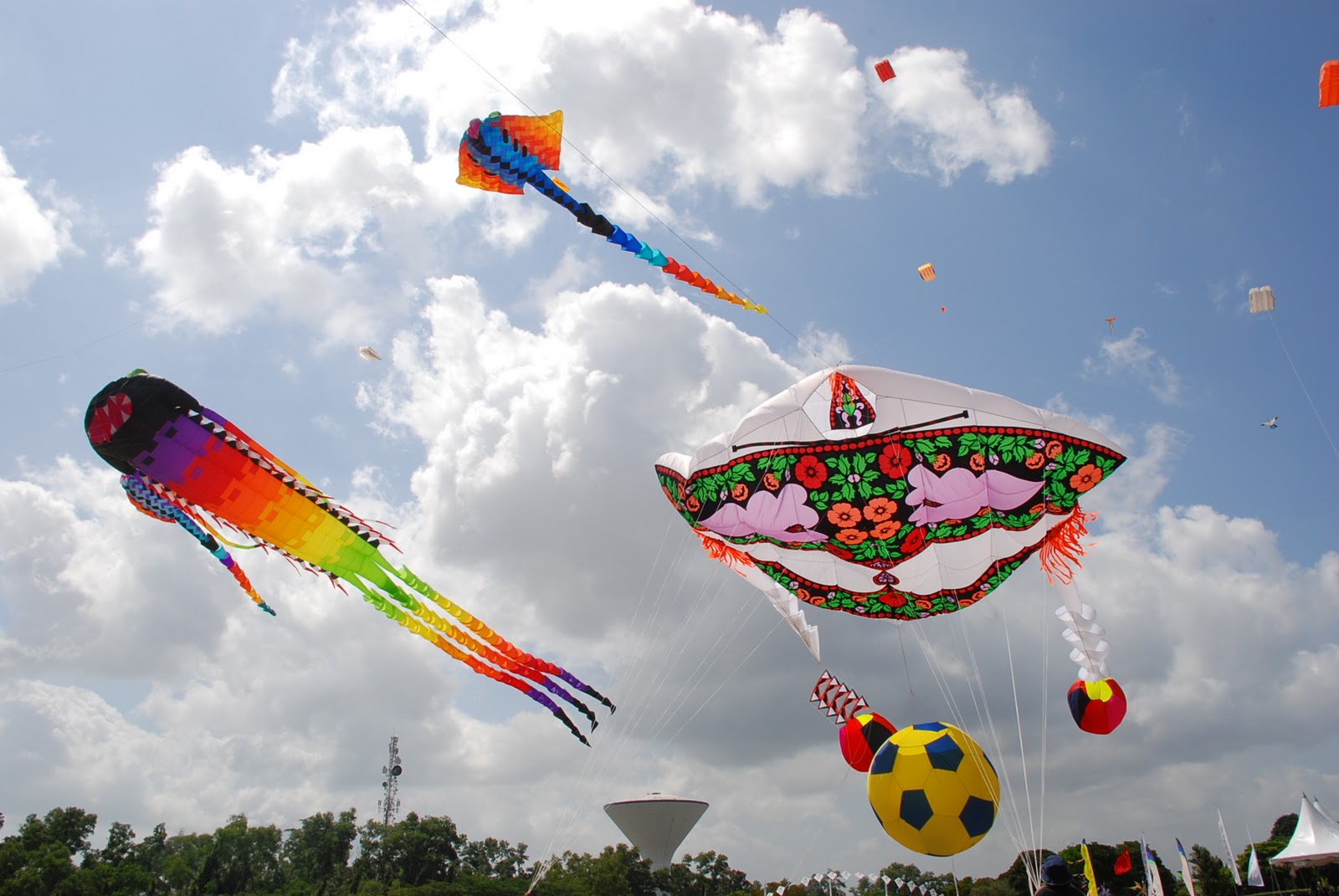 Kite flying in various shapes.