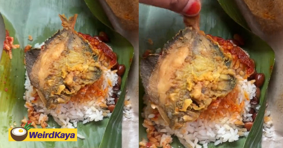 'you sure it's 2024? ' - m'sian surprised to see whole fish inside her rm1 nasi lemak | weirdkaya