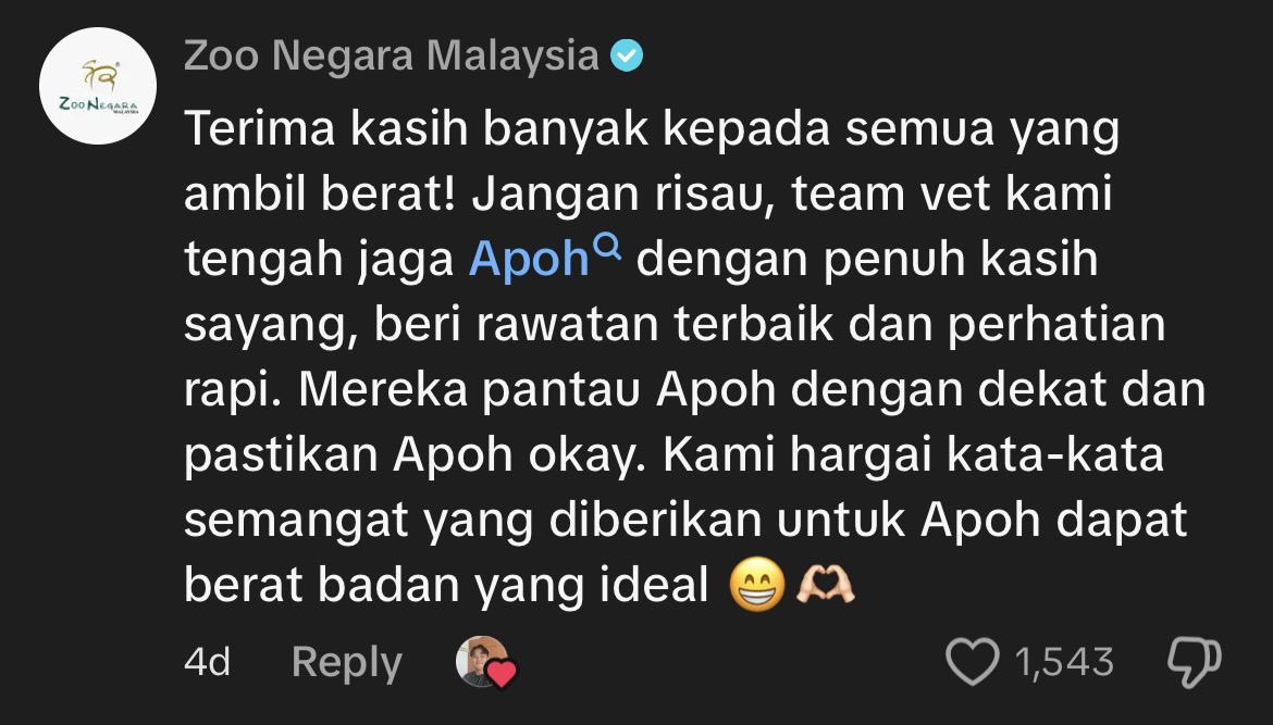 Zoo Negara comments on chonky panther